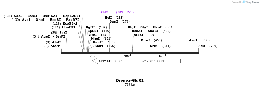 114371_map