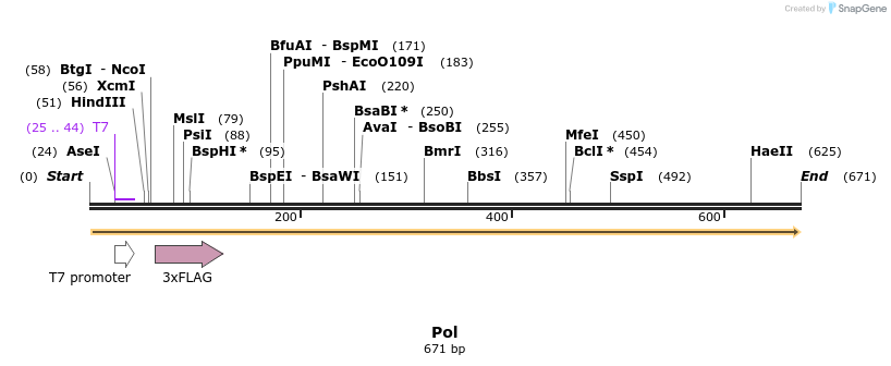 114372_map