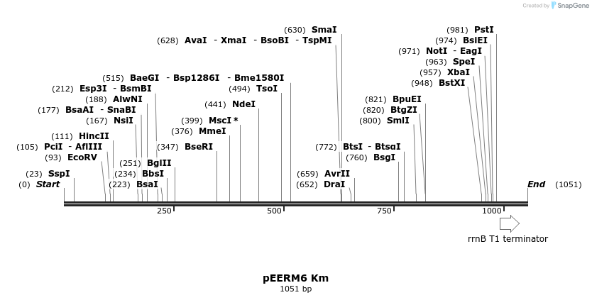 114377_map