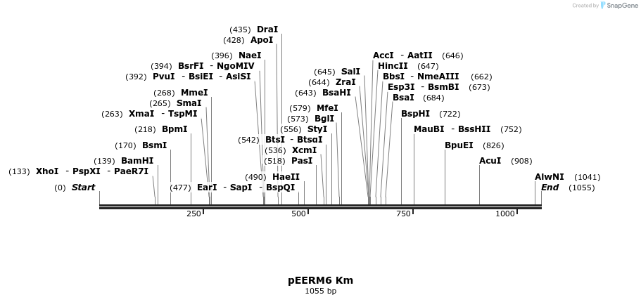 114379_map
