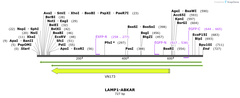 114403_map