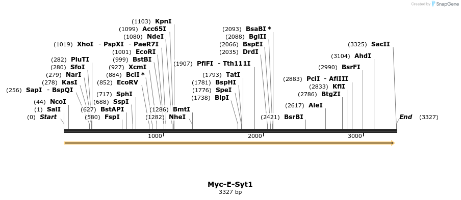 114441_map