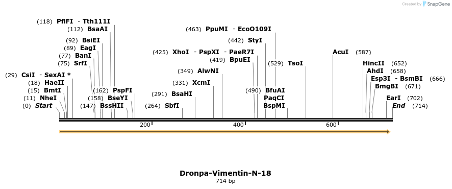 114466_map