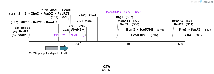 114474_map