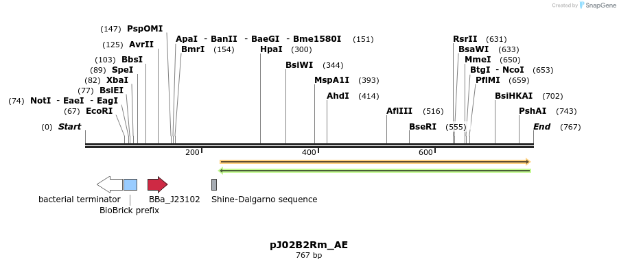 114481_map