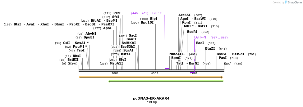 114490_map