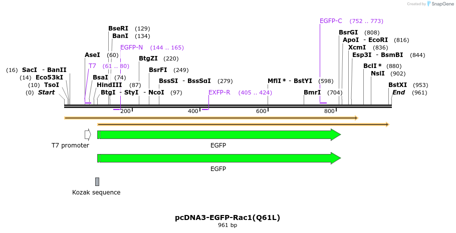 114514_map