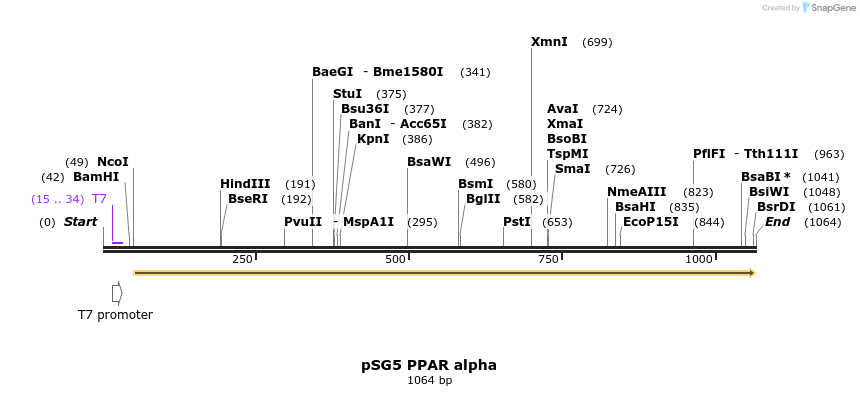 114519_map