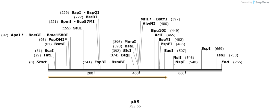 114528_map