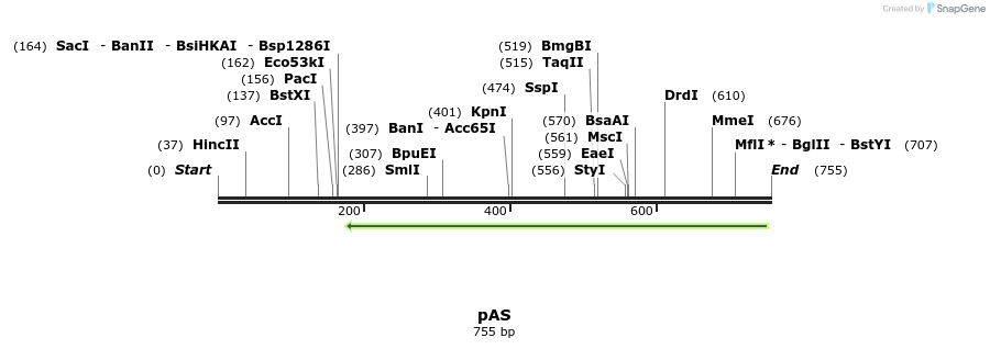 114529_map
