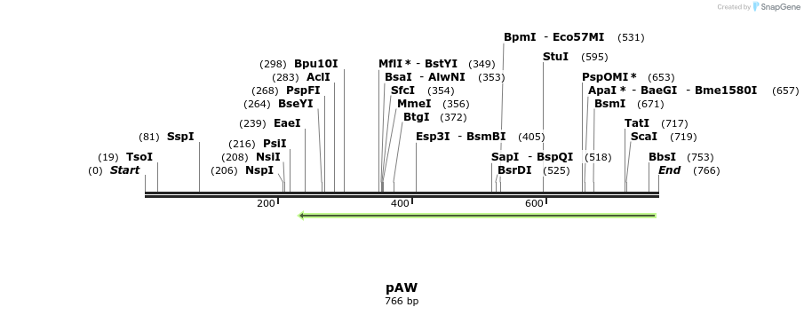 114531_map