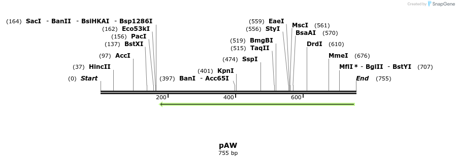 114532_map
