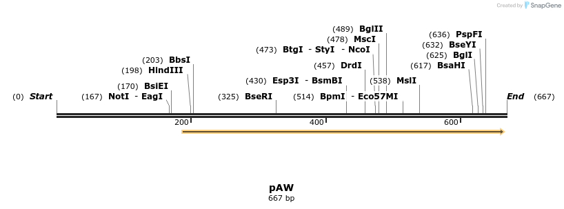 114533_map