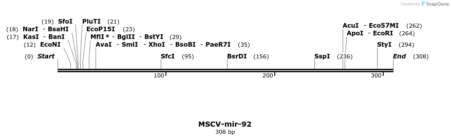 114535_map