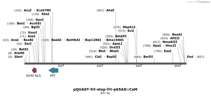 114536_map