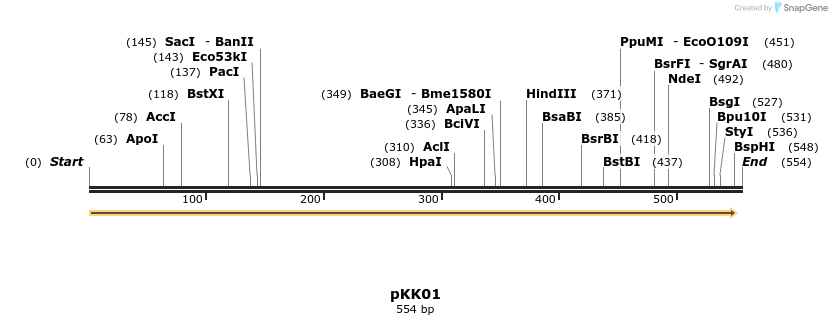 114538_map