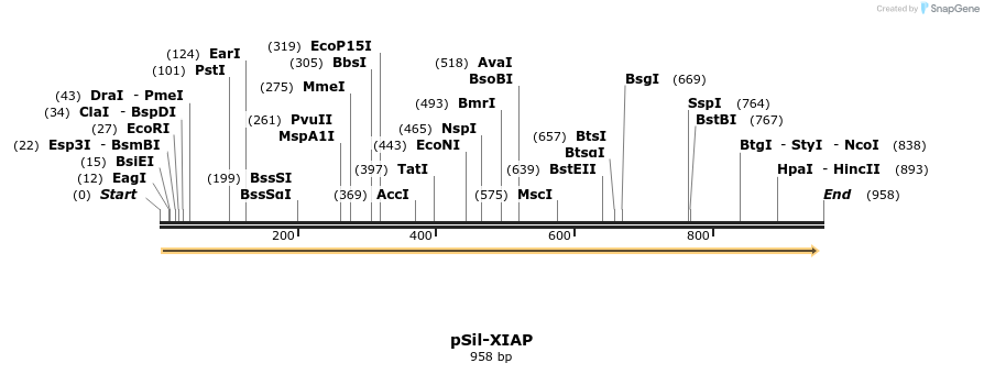 114569_map