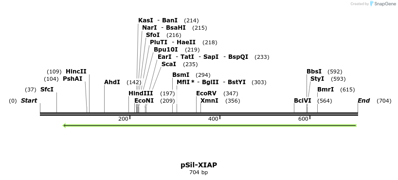 114570_map