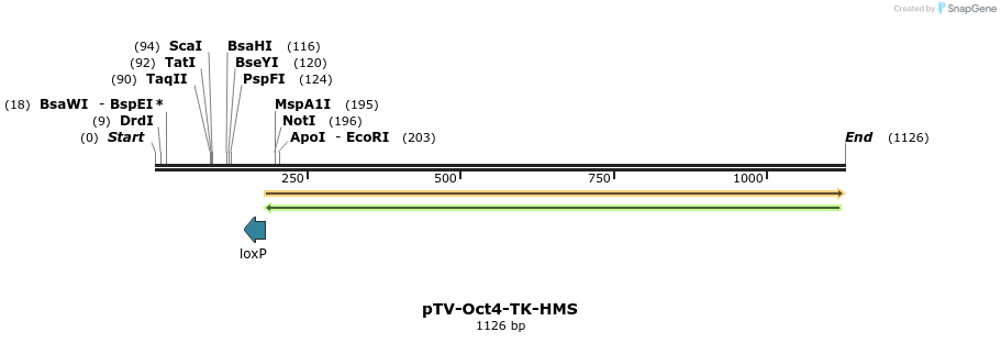 114571_map