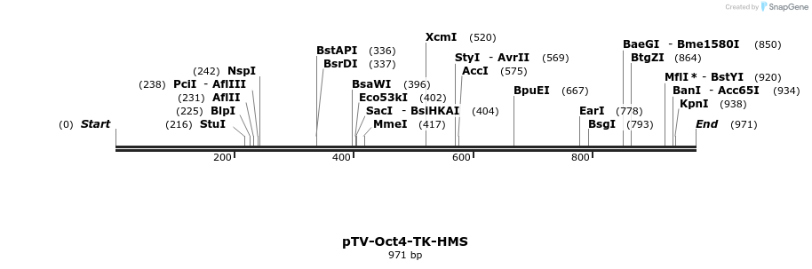 114572_map