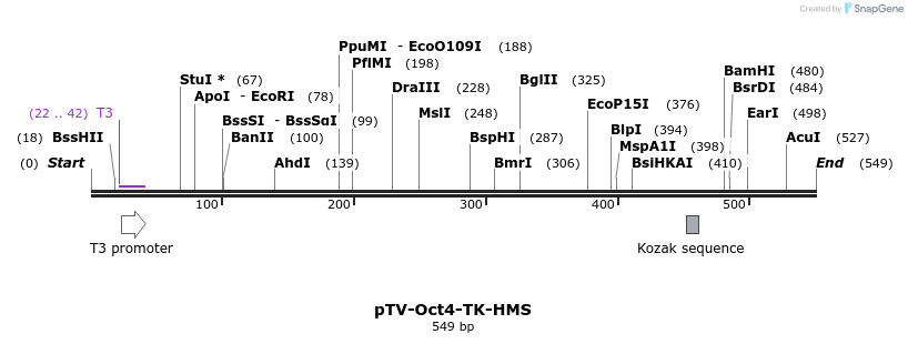 114574_map