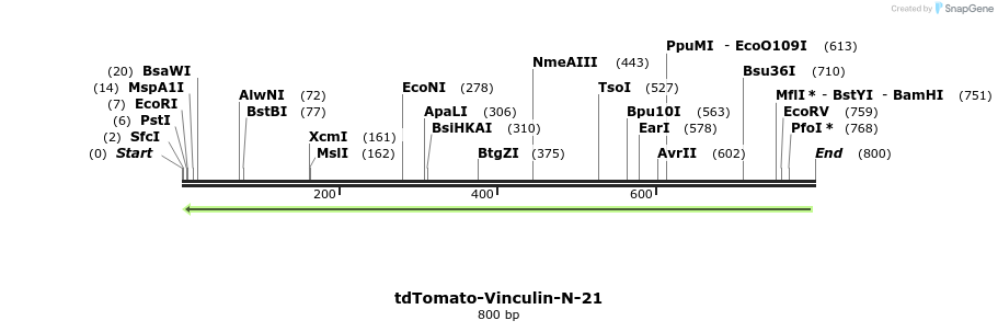 114578_map