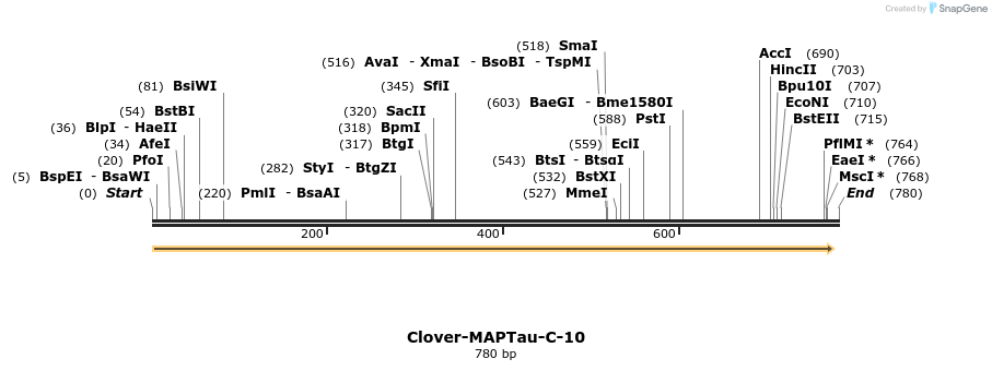 114579_map