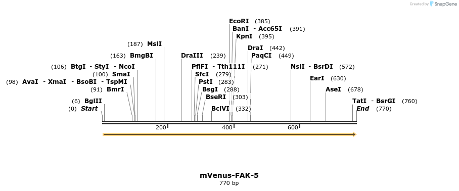 114581_map