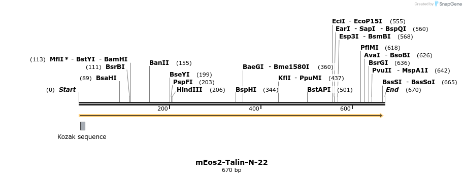 114585_map