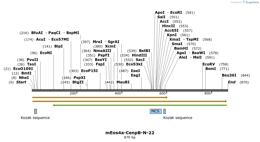 114586_map