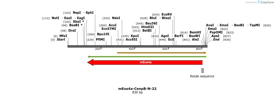 114587_map