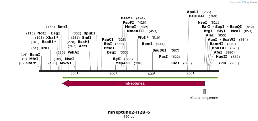 114589_map