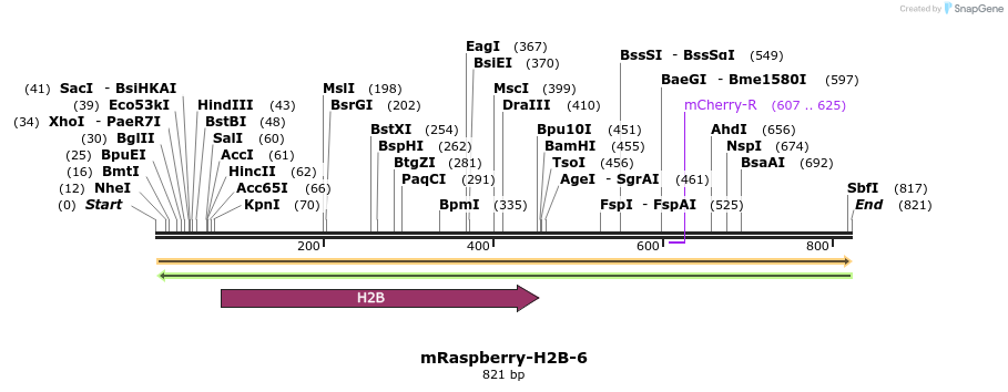 114591_map