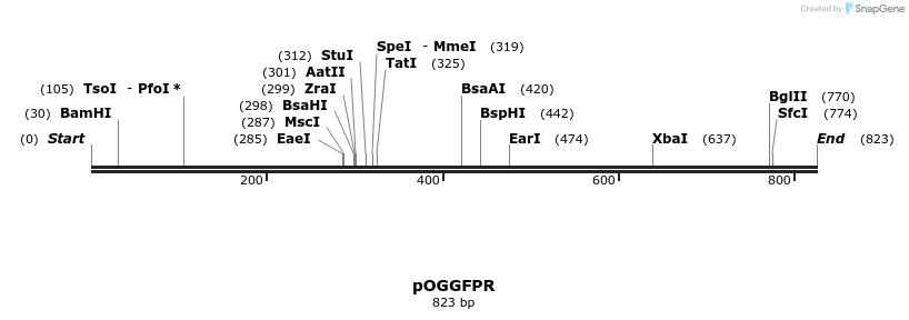 114592_map