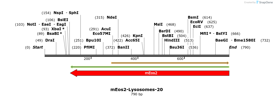 114594_map