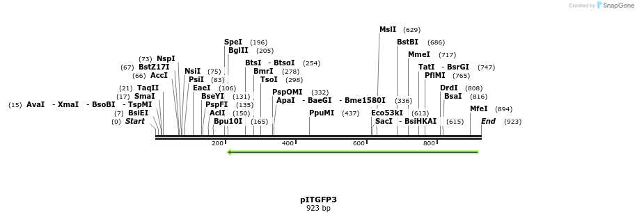 114596_map