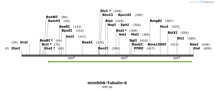 114604_map