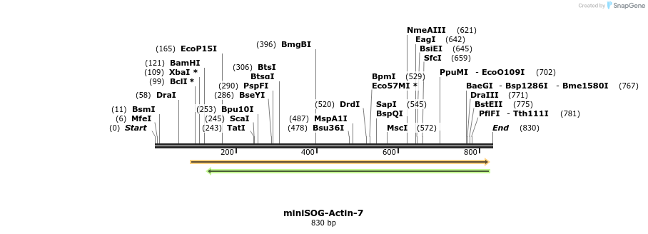 114608_map