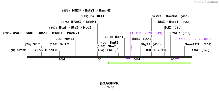 114616_map