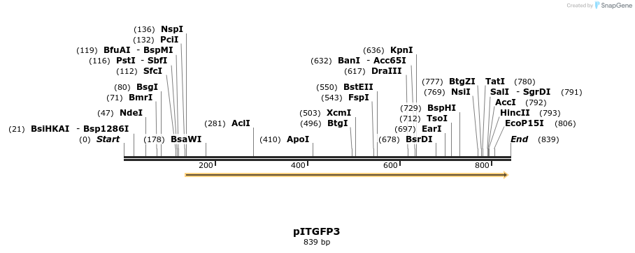 114619_map