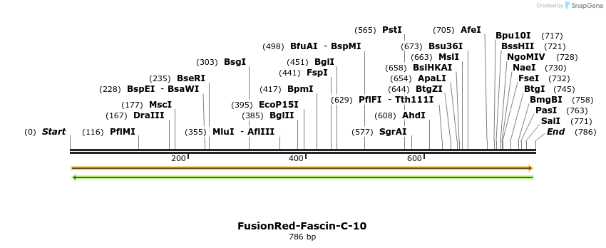 114625_map