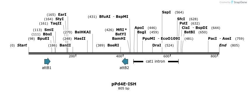 114628_map