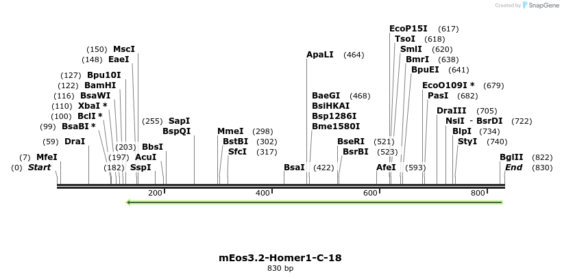 114630_map
