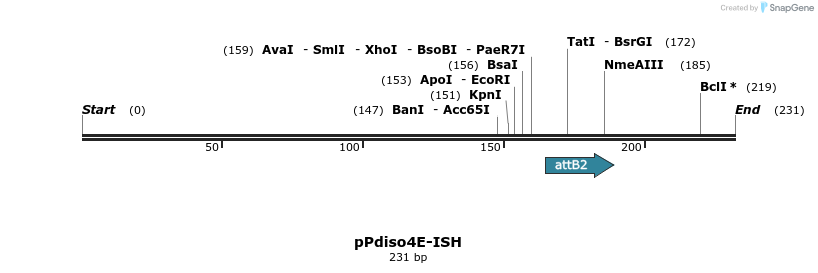 114631_map