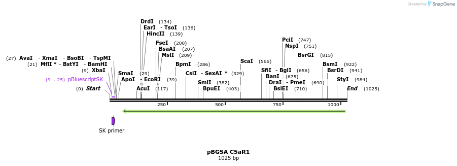 114636_map