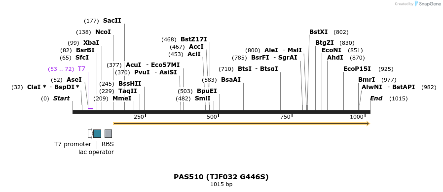 114656_map