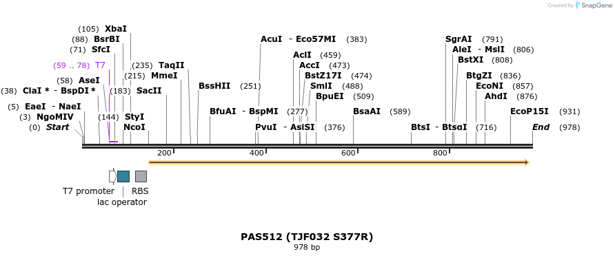 114666_map