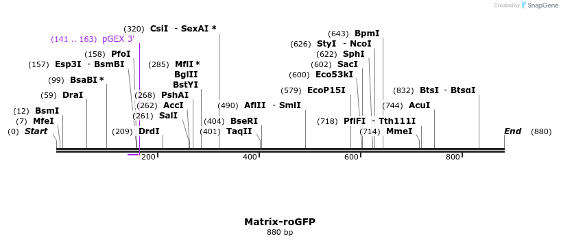 114670_map