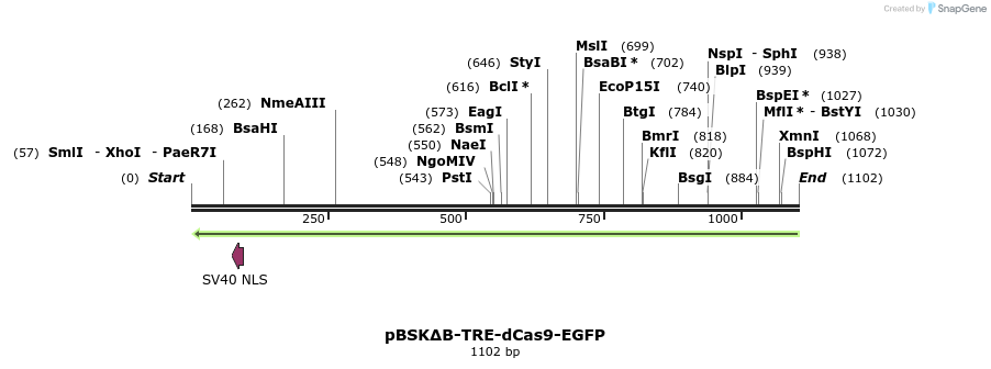 114672_map