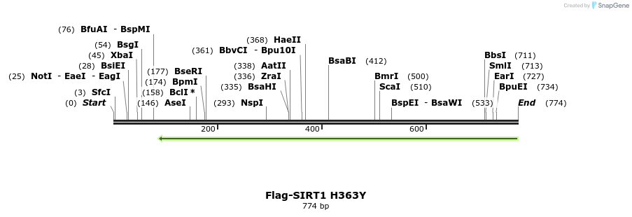 114677_map
